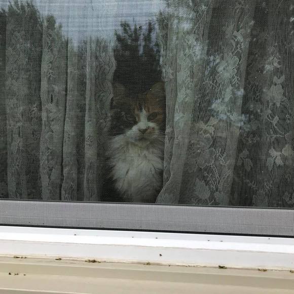 Meet your Posher, Teresa - Picture 1 of 1